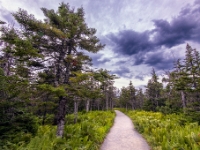 Park Narodowy Cape Breton Highlands